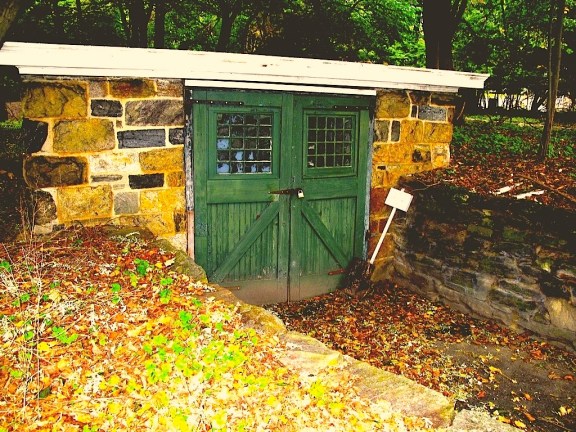 The Ice House 